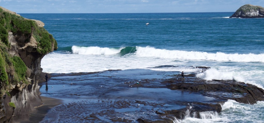 northisland - 1 (4)